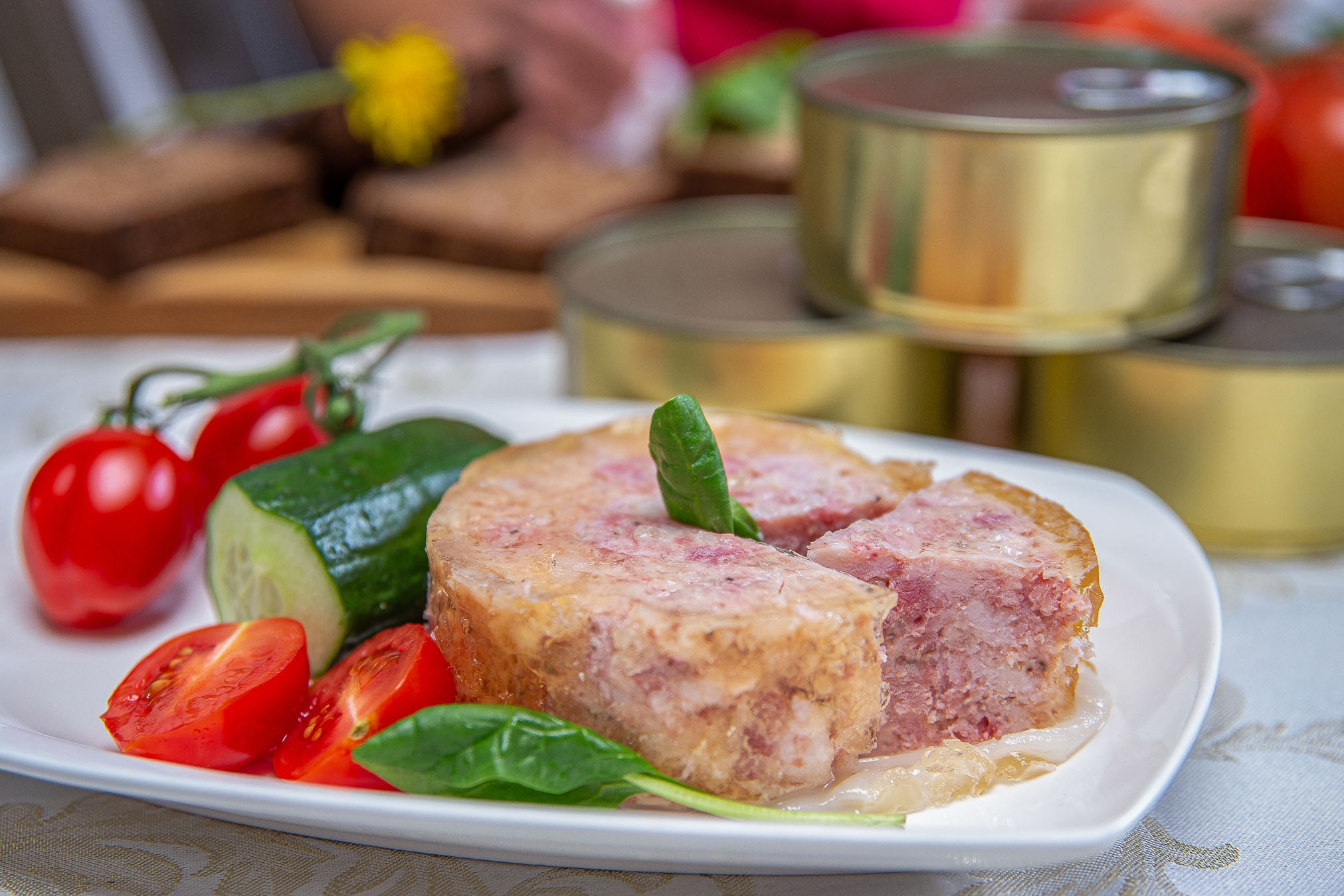 Kotkapesa konserv sealihakonserv